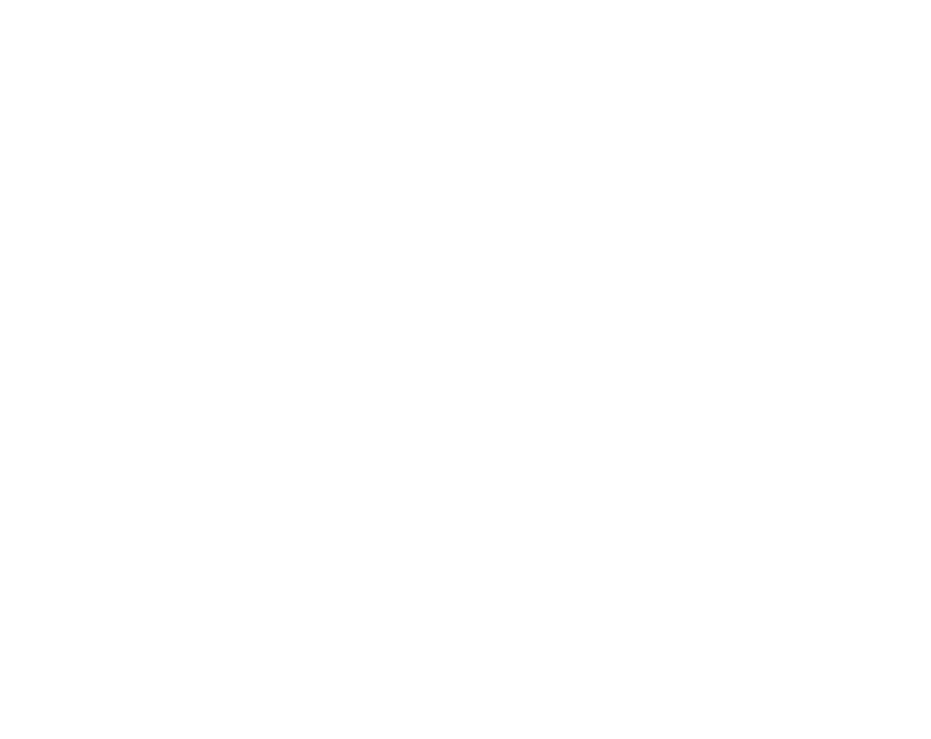 logo kollektive initiative rgb weiss